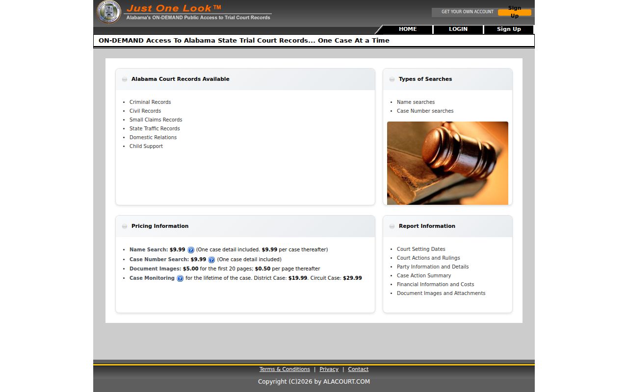 Dallas County criminal court history Just One Look access screen